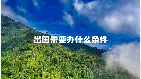出國(guó)需要辦什么條件