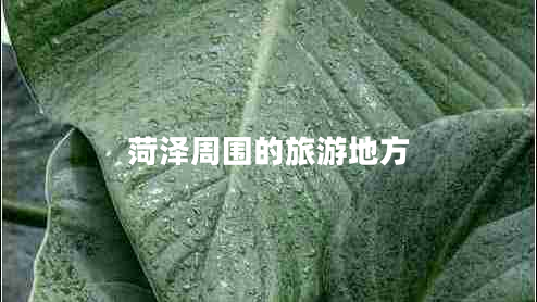 菏澤周圍的旅游地方