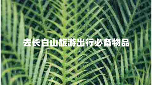 去長白山旅游出行必備物品