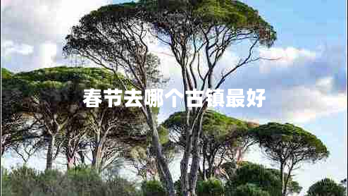 春節去哪個(gè)古鎮最好