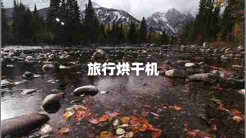 旅行烘干機