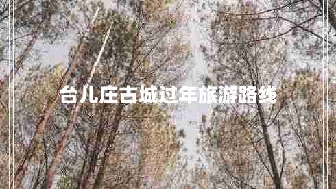 臺兒莊古城過(guò)年旅游路線(xiàn)