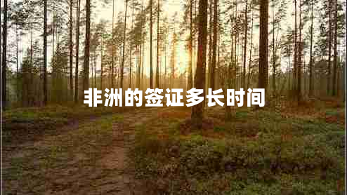 非洲的簽證多長(cháng)時(shí)間