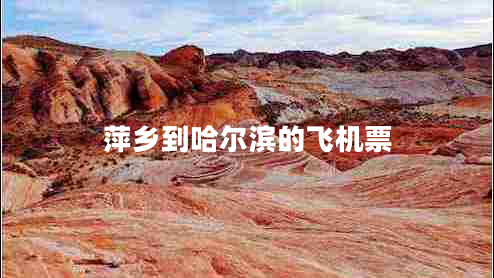 萍鄉(xiāng)到哈爾濱的飛機票
