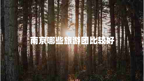 南京哪些旅游團(tuán)比較好