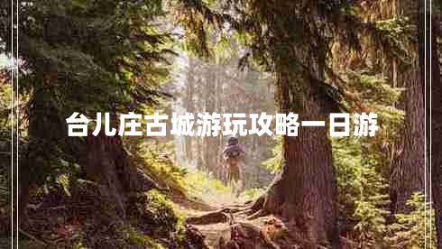 臺(tái)兒莊古城游玩攻略一日游