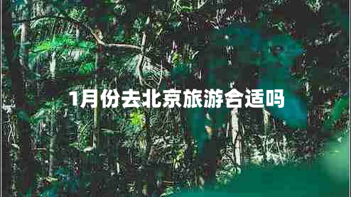 1月份去北京旅游合適嗎