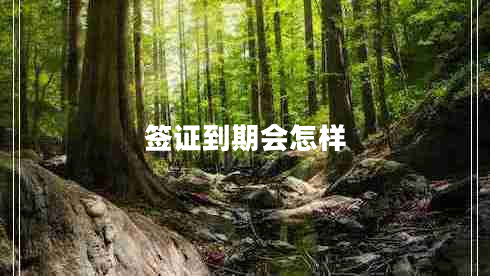 簽證到期會(huì)怎樣