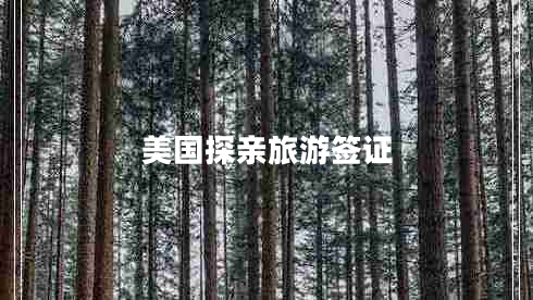 美國(guó)探親旅游簽證