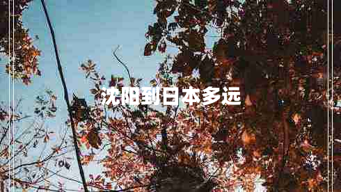 沈陽(yáng)到日本多遠