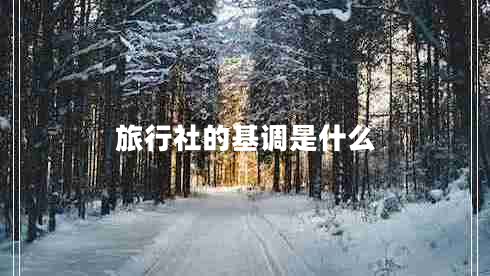 旅行社的基調是什么