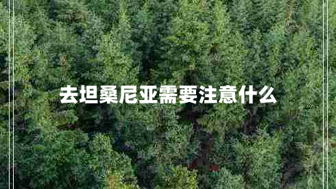 去坦桑尼亞需要注意什么