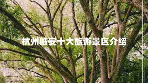 杭州臨安十大旅游景區(qū)介紹