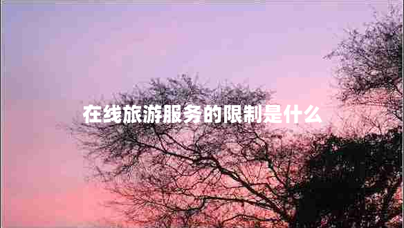 在線旅游服務的限制是什么 在線旅游服務的限制是什么
