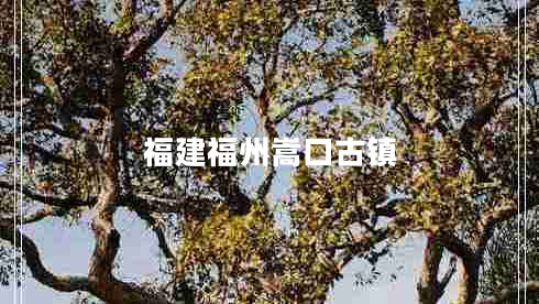 福建福州嵩口古鎮