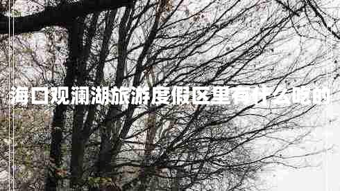 海口觀瀾湖旅游度假區(qū)里有什么吃的