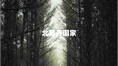 北蘇丹國家