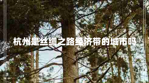 杭州是絲綢之路經濟帶的城市嗎