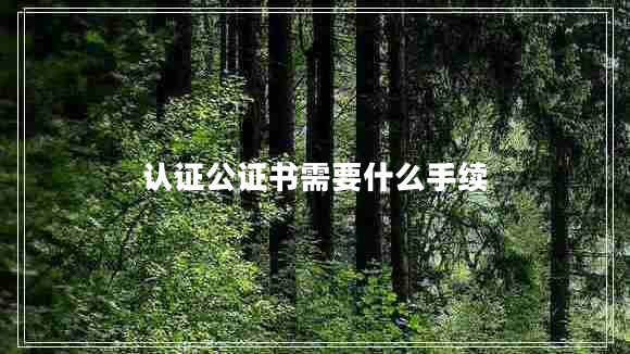 認證公證書(shū)需要什么手續
