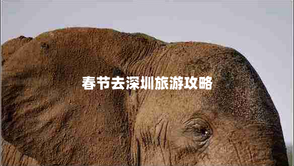 春節去深圳旅游攻略