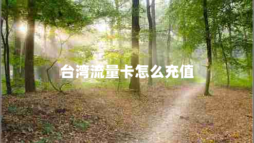 臺(tái)灣流量卡怎么充值