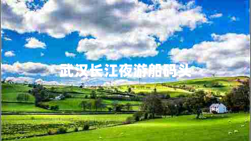 武漢長(cháng)江夜游船碼頭