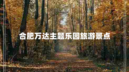 合肥萬(wàn)達主題樂(lè )園旅游景點(diǎn)