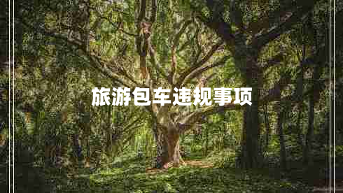 旅游包車違規(guī)事項