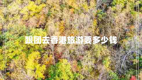 跟團去香港旅游要多少錢