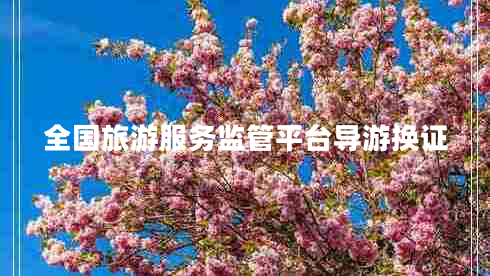 全國旅游服務監(jiān)管平臺導游換證