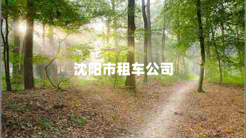沈陽(yáng)市租車(chē)公司