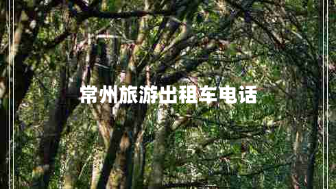 常州旅游出租車(chē)電話(huà)