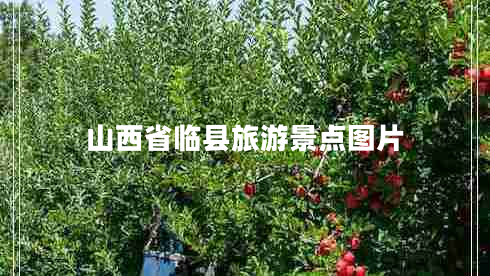 山西省臨縣旅游景點圖片