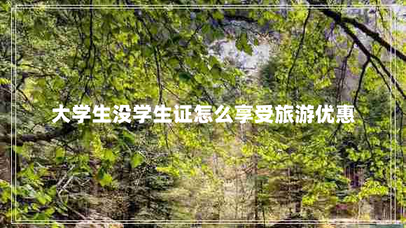 大學(xué)生沒學(xué)生證怎么享受旅游優(yōu)惠