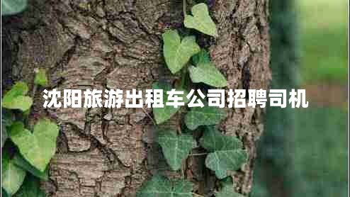 沈陽(yáng)旅游出租車(chē)公司招聘司機(jī)