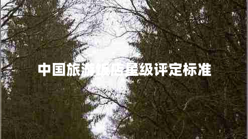 中國旅游飯店星級評定標(biāo)準(zhǔn)