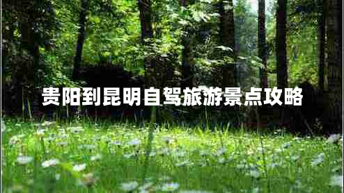 貴陽到昆明自駕旅游景點(diǎn)攻略