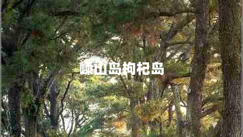 嵊山島枸杞島