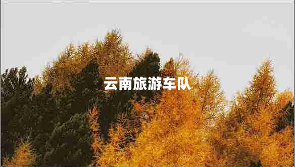 云南旅游車(chē)隊
