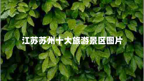 江蘇蘇州十大旅游景區圖片