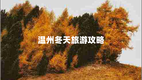 溫州冬天旅游攻略