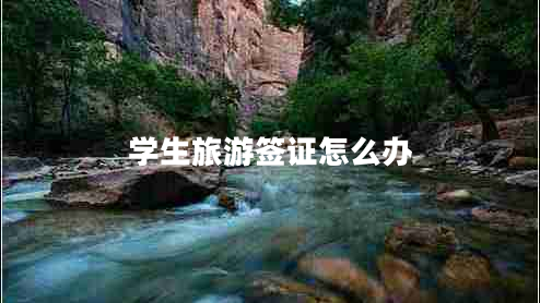 學(xué)生旅游簽證怎么辦