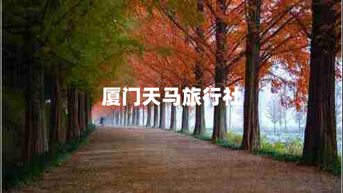 廈門(mén)天馬旅行社