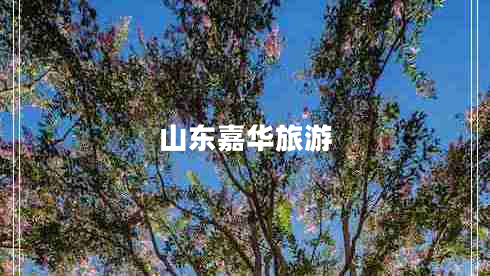 山東嘉華旅游