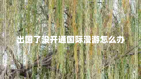 出國了沒(méi)開(kāi)通國際漫游怎么辦