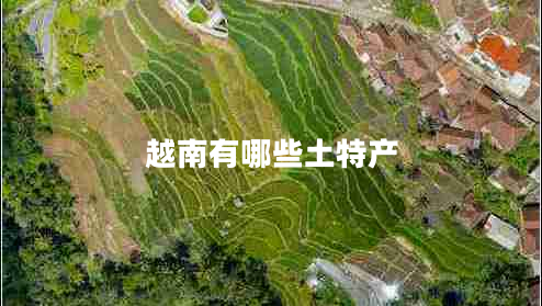 越南有哪些土特產(chǎn)