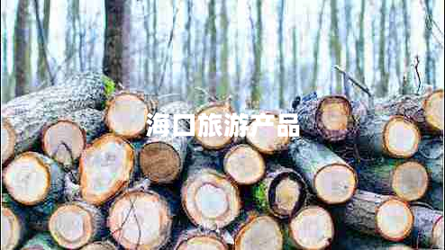 海口旅游產品