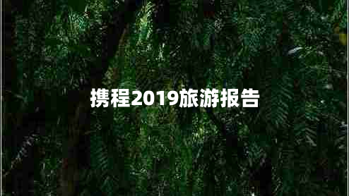 攜程2019旅游報(bào)告