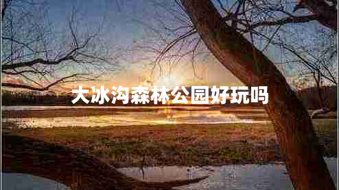 大冰溝森林公園好玩嗎