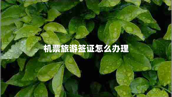 機(jī)票旅游簽證怎么辦理